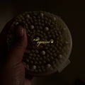 Exfoliating body brush